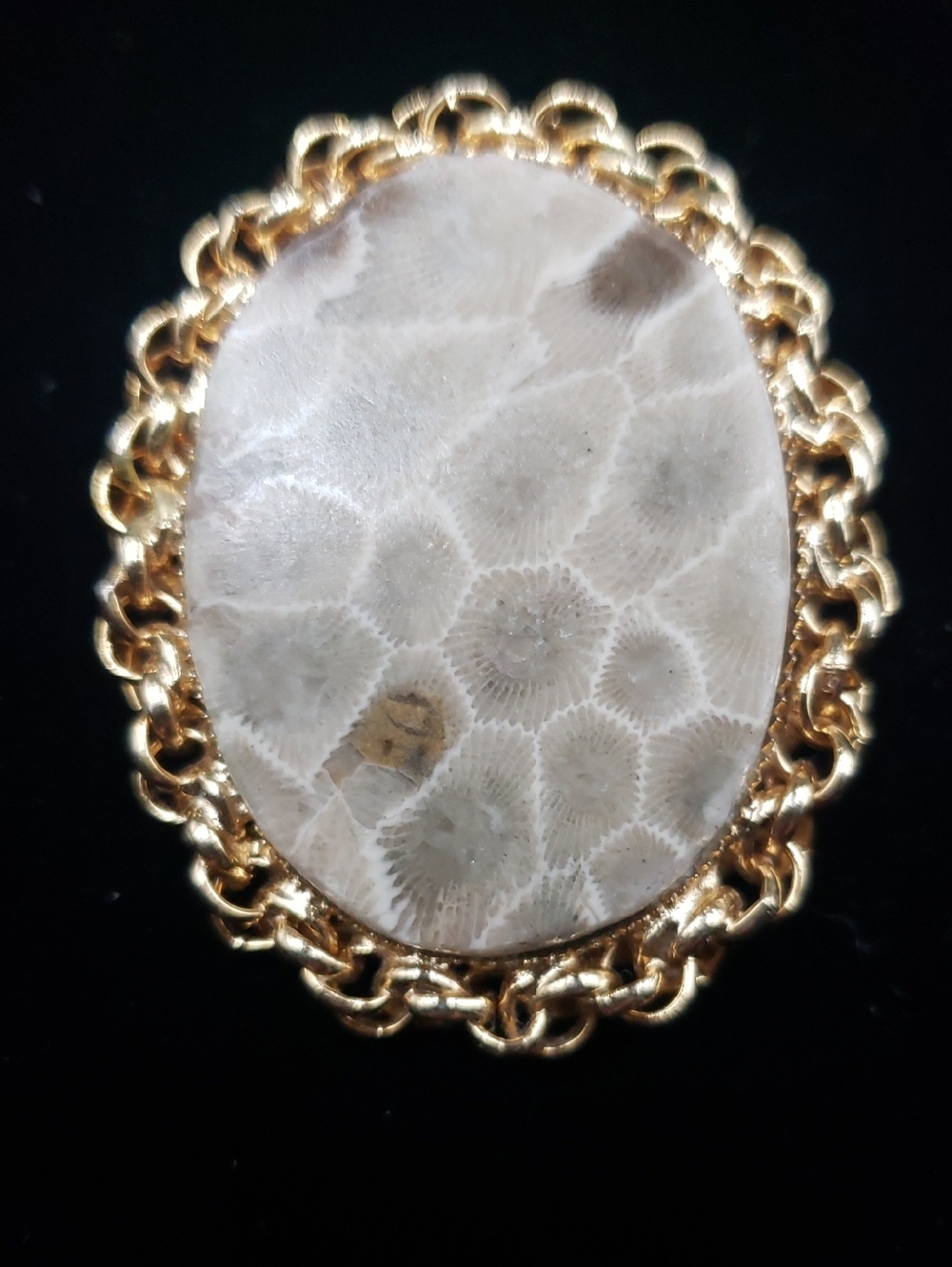 Natural Oval Cut Petoskey Stone Set in Goldtone Link Frame Pin/Pendant